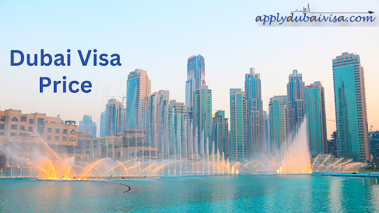 Dubai visa price